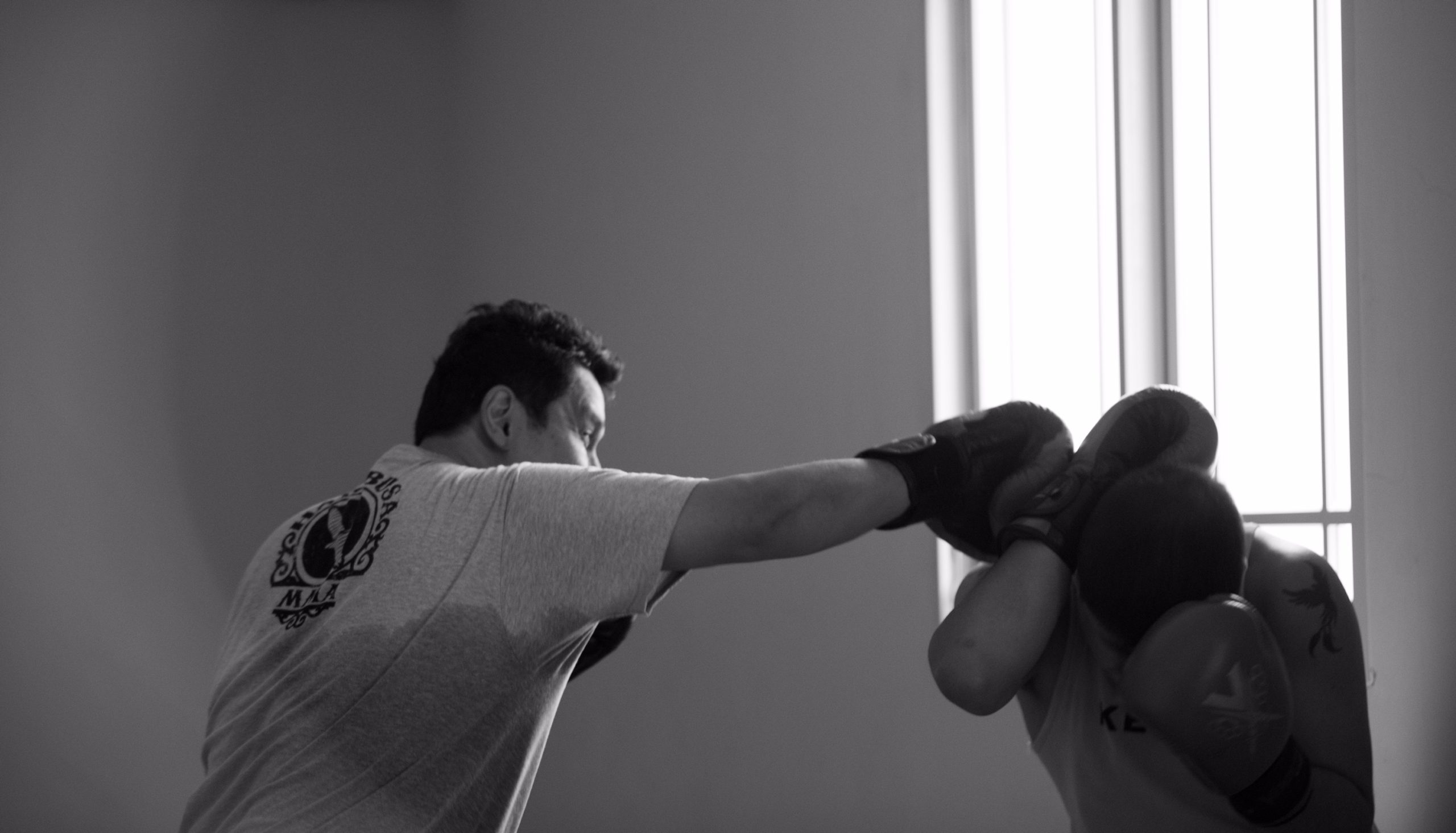 Awareness in Martial Arts.